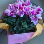 退勤しましたー♪