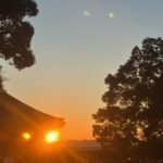 明日の出勤について💦