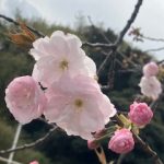 退勤しました♪