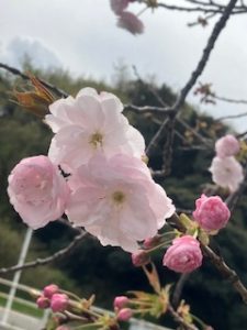 退勤しました♪