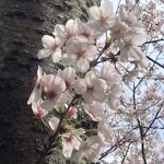 今日もありがとうございました❤️