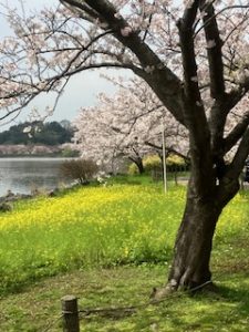 退勤しました♪