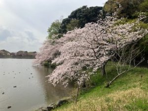 退勤しました♪