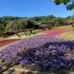 退勤しました✨