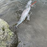 出勤しています！