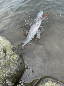 出勤しています！