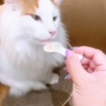 明日出勤します??