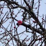 出勤スケジュール変更のお知らせ