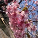 ごめんなさい(T ^ T)