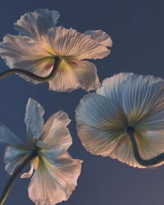 今月の出勤予定日 ????