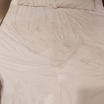 本指名様ありがとうの気持ち