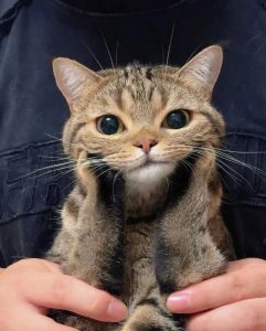 今日と明日の出勤について。