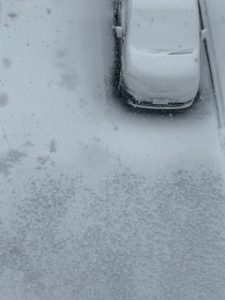 ごめんなさい。。。