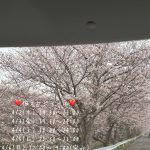 仮スケジュール☆