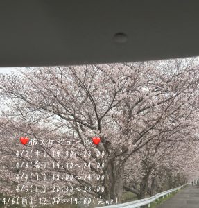 仮スケジュール☆