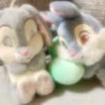 会いたかったのに…今日はお休みです