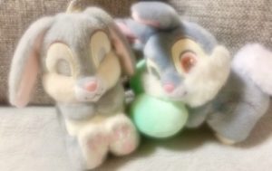 会いたかったのに…今日はお休みです