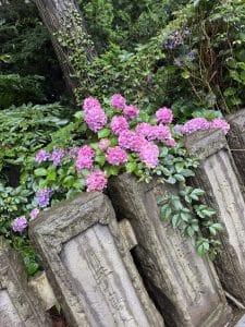今日から7月☆